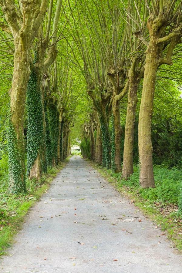 Domaine De Bramefaon Bed & Breakfast Barbizon Dış mekan fotoğraf